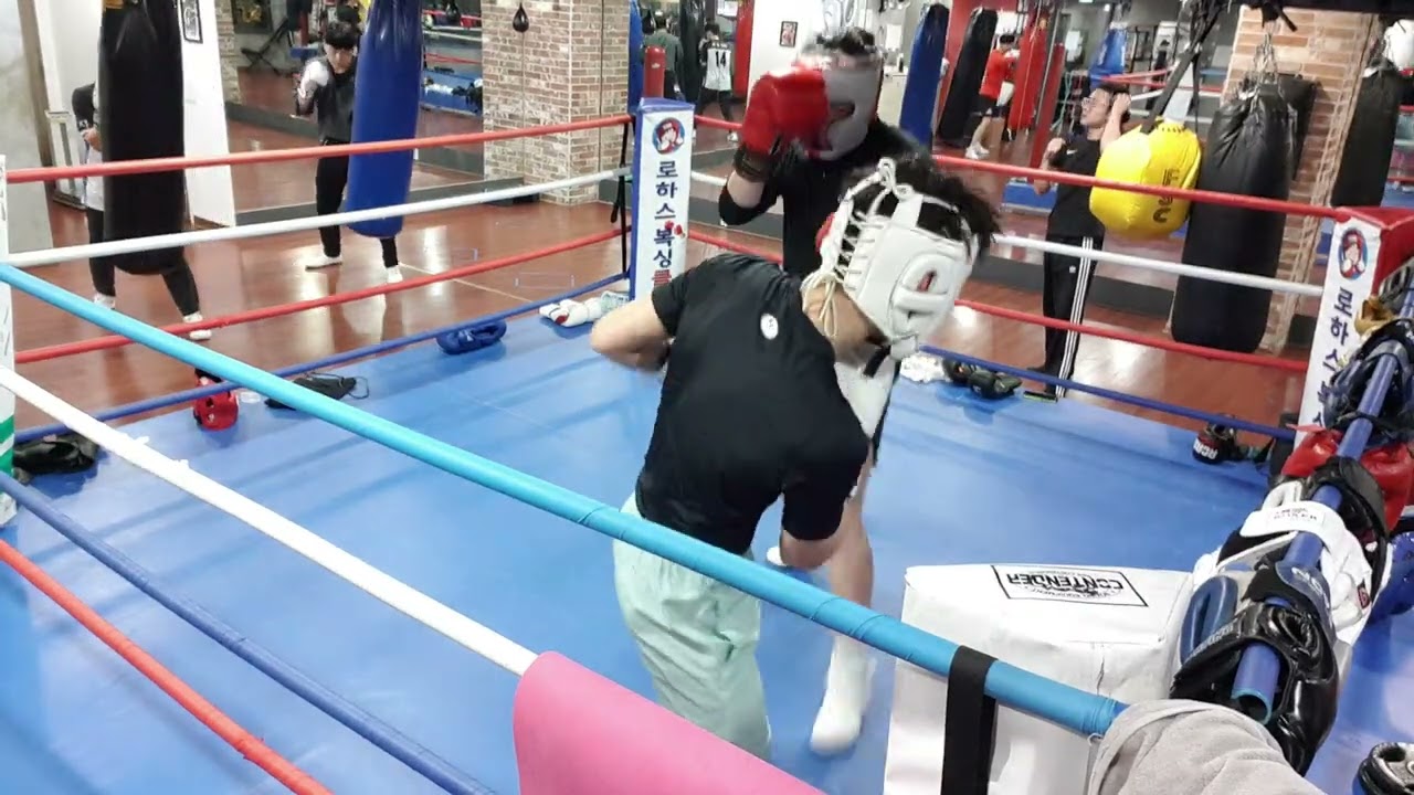 20260226 유성구 신성동 로하스복싱 제형 vs 문조