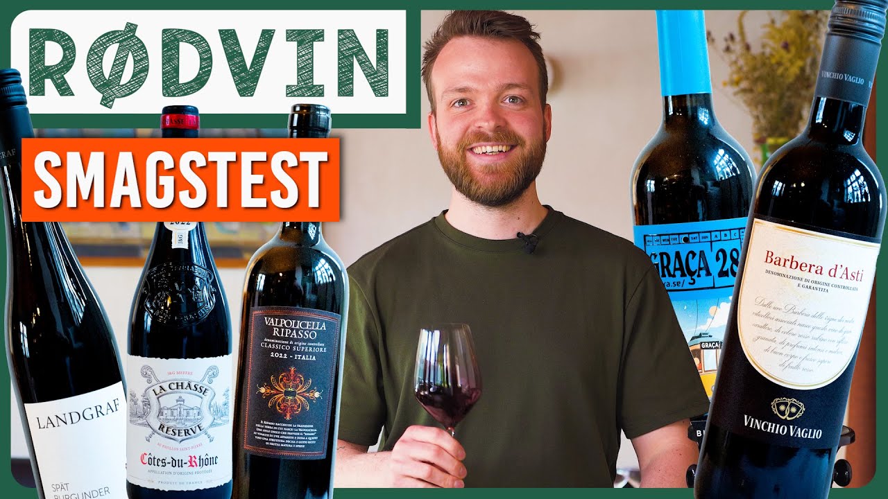 BEDSTE RØDVIN FRA SUPERMARKEDET 🍷 | 9/10 | 