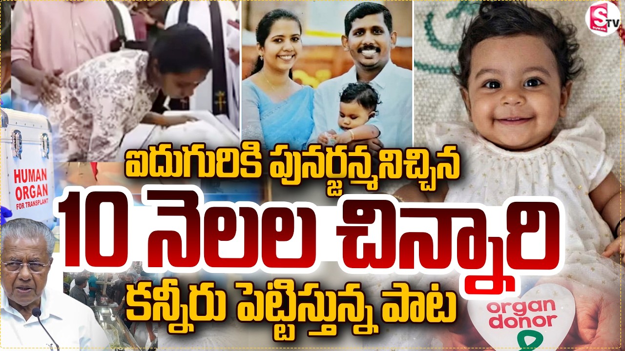 youngest organ donor, 10-month-old baby Aalin Sherin Abraham to save four lives | SumanTV Tirumal