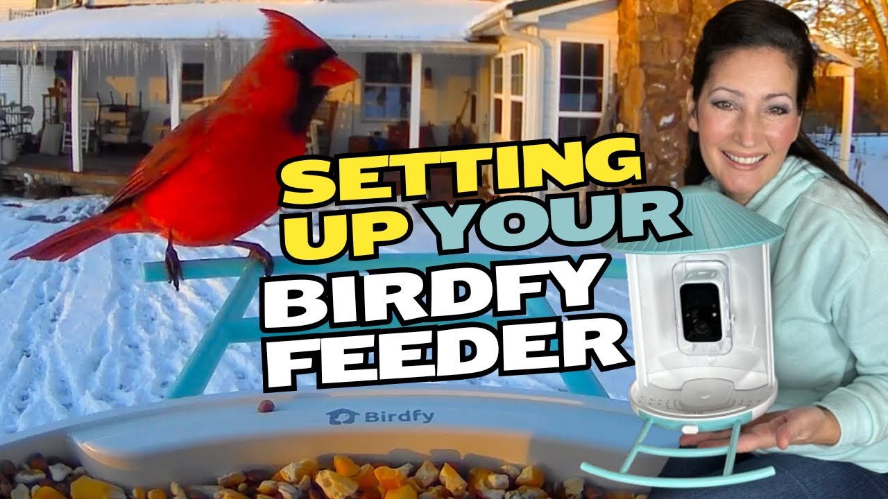БЫСТРО Соберите и установите кормушку Birdfy: простое пошаговое руководство #birdfy #birdfeeder