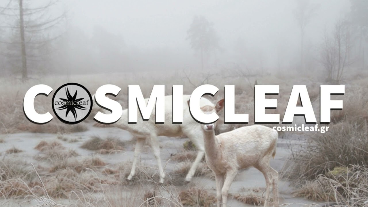 Kick Bong - A Waking Dream [FULL ALBUM MIX]