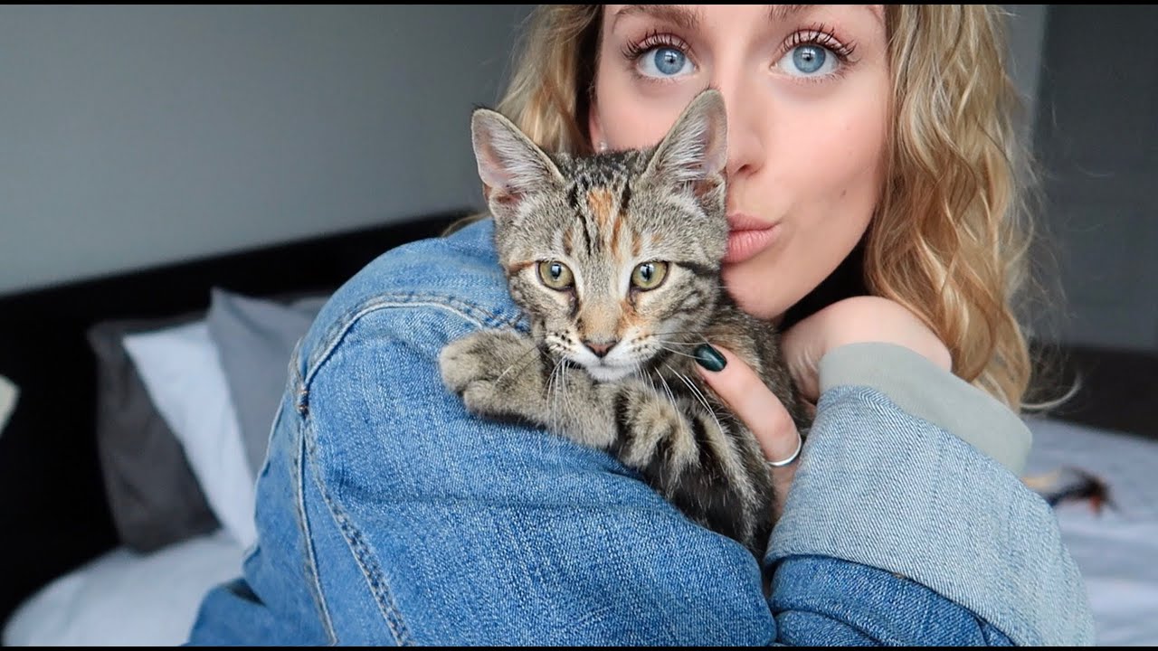 I ADOPTED A KITTEN!!! | Vlog
