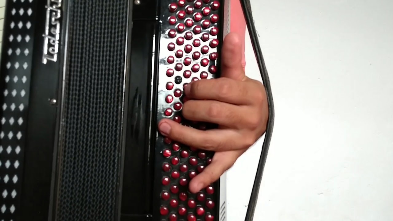 Vídeo aula acordeon Minha serenata versão para iniciantes