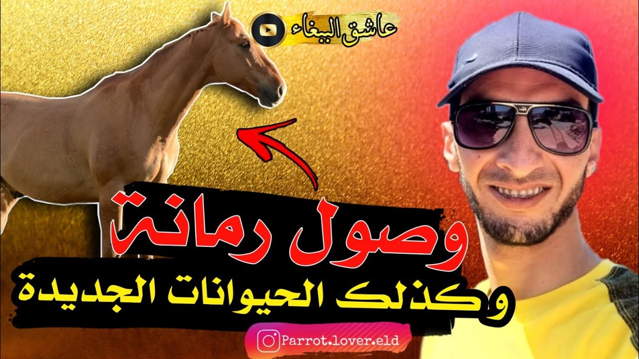 اليوم جا عندي واحد الصديق👥️️ عزيز❤️ وجاب ليا مفاجآت🤩🎁🥳🎉