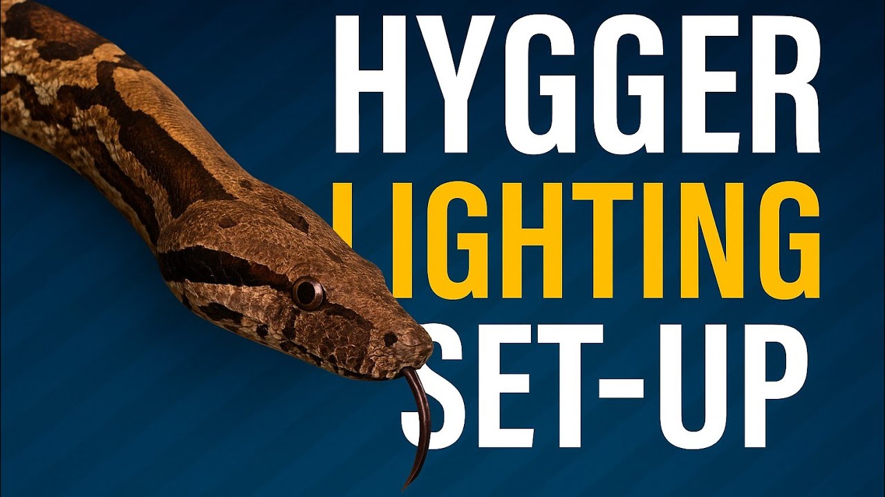 Hygger UVB light Set-up