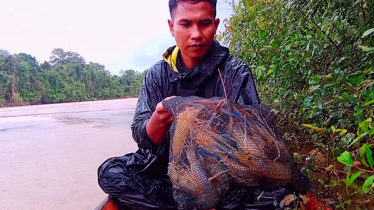 Asli Kewalahan! Reaksi brutal serangan udang galah spot baru di pancing | mancing udang galah