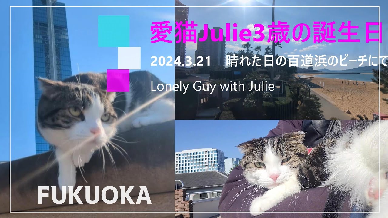 vlog 福岡移住 #후쿠오카 愛猫Julie 3歳の誕生日は百道浜【#50代無職 大阪タワマン→福岡アパート暮しvol.13】My cat Julie's 3rd birthday