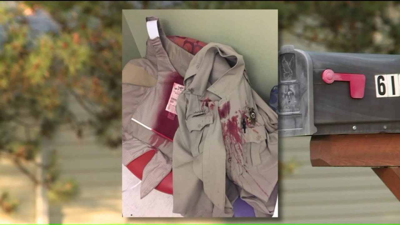 Deputy attacked by dog while serving summons