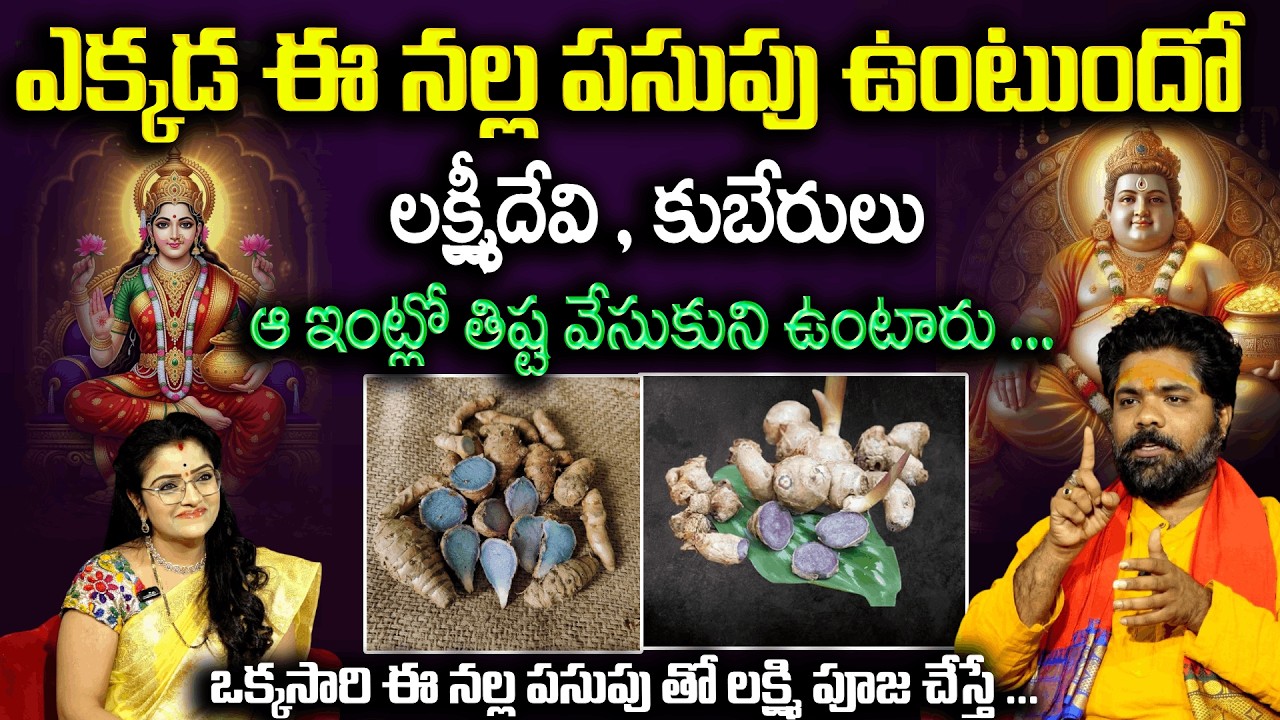 ఈ నల్ల పసుపు ఇంట్లో ఉంటే లక్ష్మీదేవి , కుబేరులు మీతోనే ఉంటారు | Nalla Pasupu | Padmini