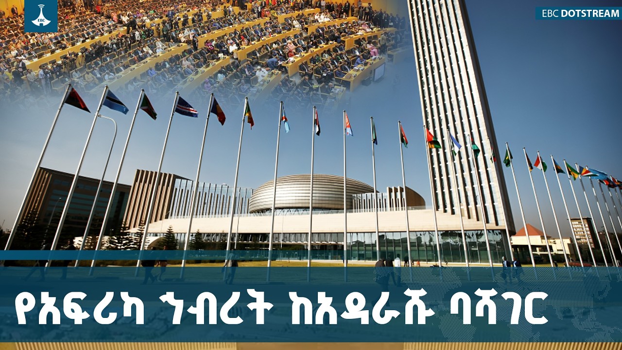 የአፍሪካ ኀብረት መዋቅሮችና ተግባሮቻቸው | AU Structures | Peace & Security | Development | African Union Organs |