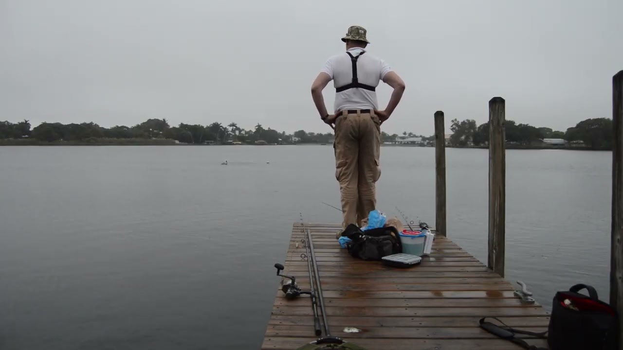 Talk about poaching your swim! Bombed by a PELICAN!