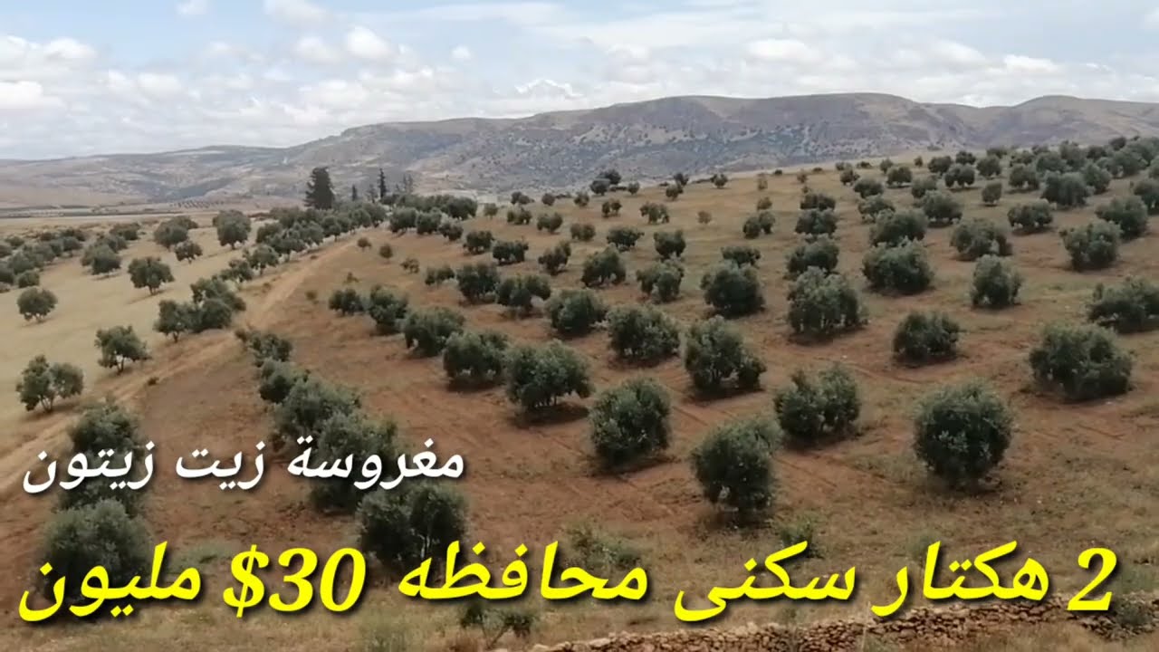تخفيض 10 مليون فقط 20 هكتار محافظه تيتر للبيع محافظه فاس 0679444657