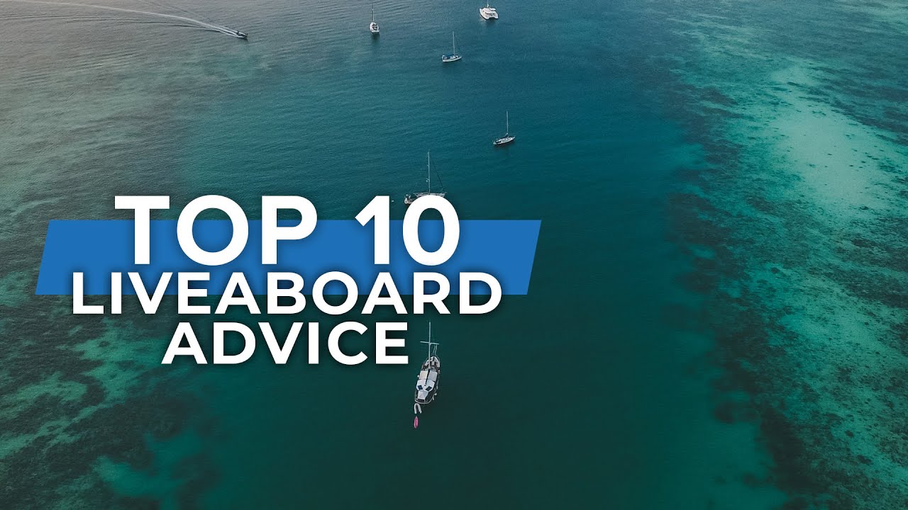 Советы по дайвинг-сафари | #Top10 #Liveaboard #Scuba | Журнал @Scuba Diver