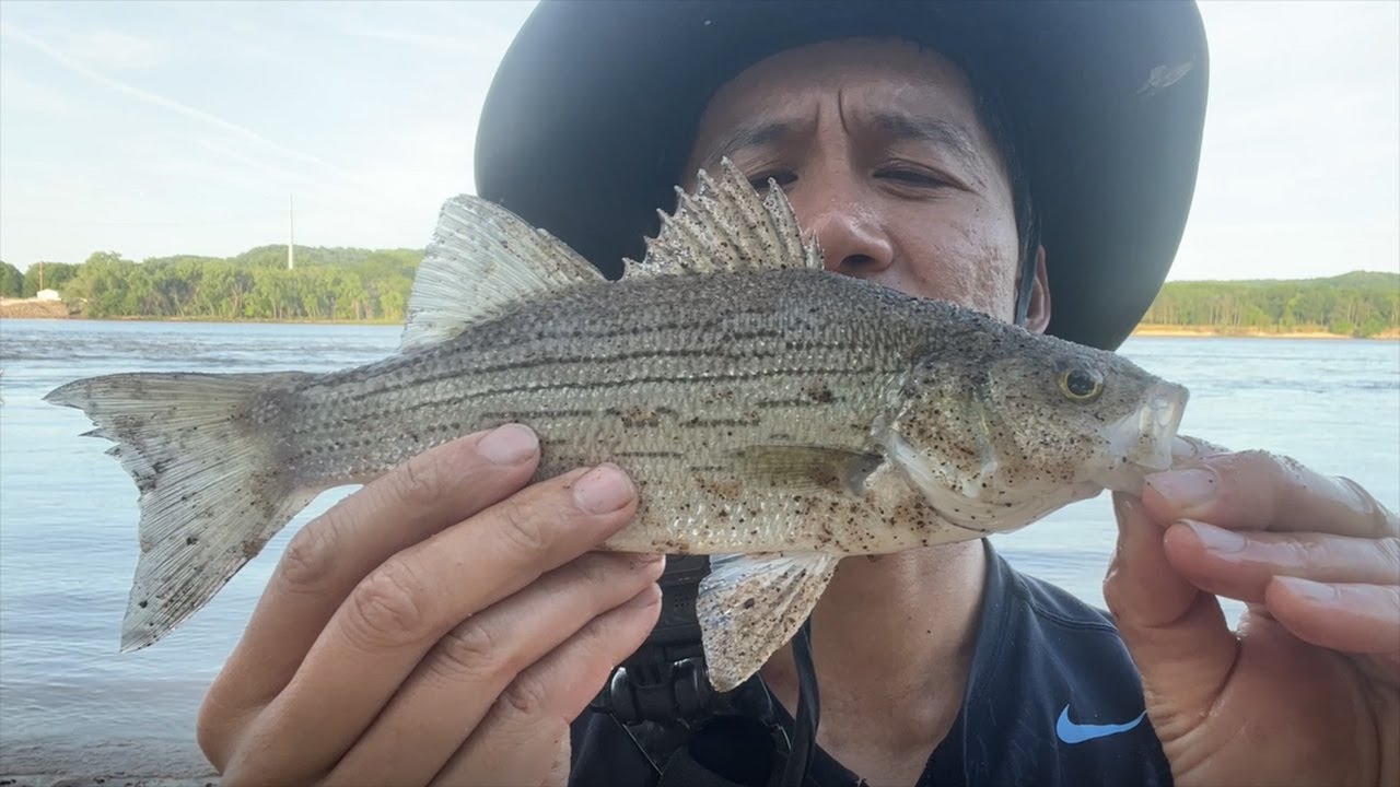 Fishing at Prairie Du Sac Dam(first time this year). Fishing report for the Big Dam.