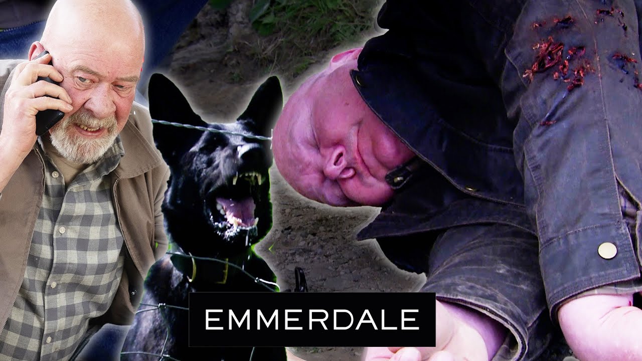 Paddy Is MAULED By Celia's Dog | Emmerdale