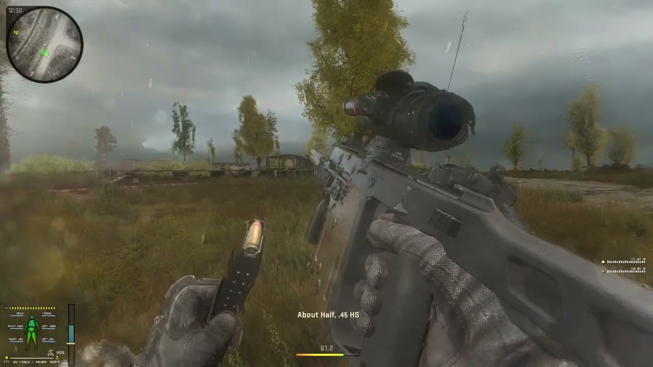 Stalker Anomaly Zona 1.36. God i love these weapon inspection animations