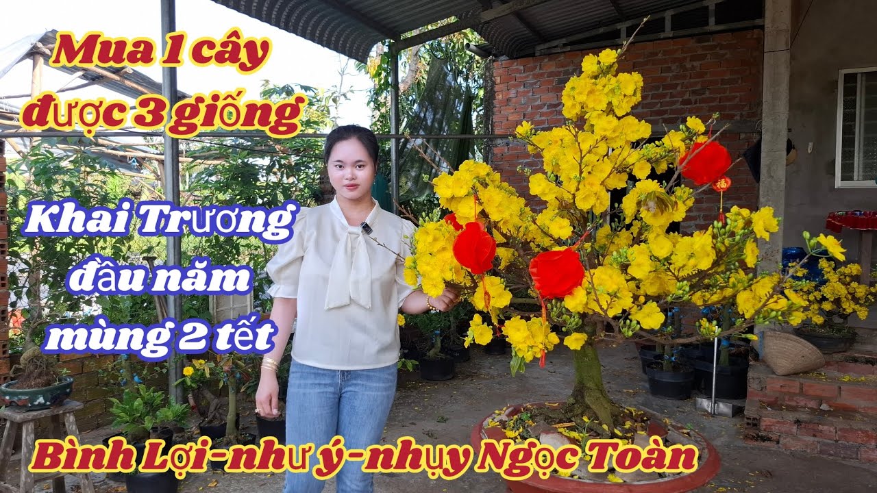 18/02/2026💥Mùng 2 Tết Khai Trương đầu Năm Bình Lợi , như ý, nhụy ngọc toàn 💥mua 1 được 3