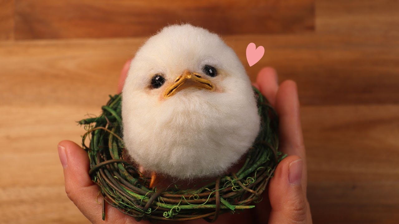 [CC]월요일아침새?! 니들펠트로 개구리입쏙독새 만들기! Needlefelt TawnyFrogmouth Tutorial