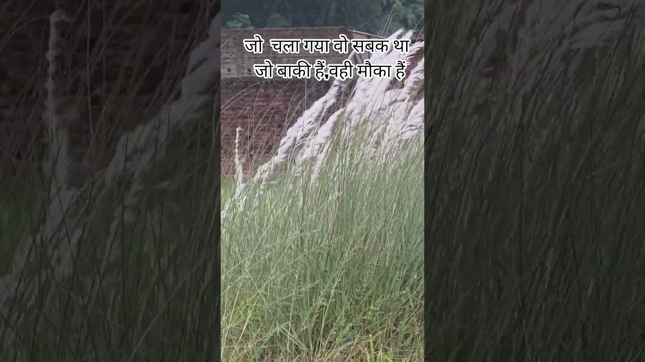 commando written class natural beauty of jharkhand ll