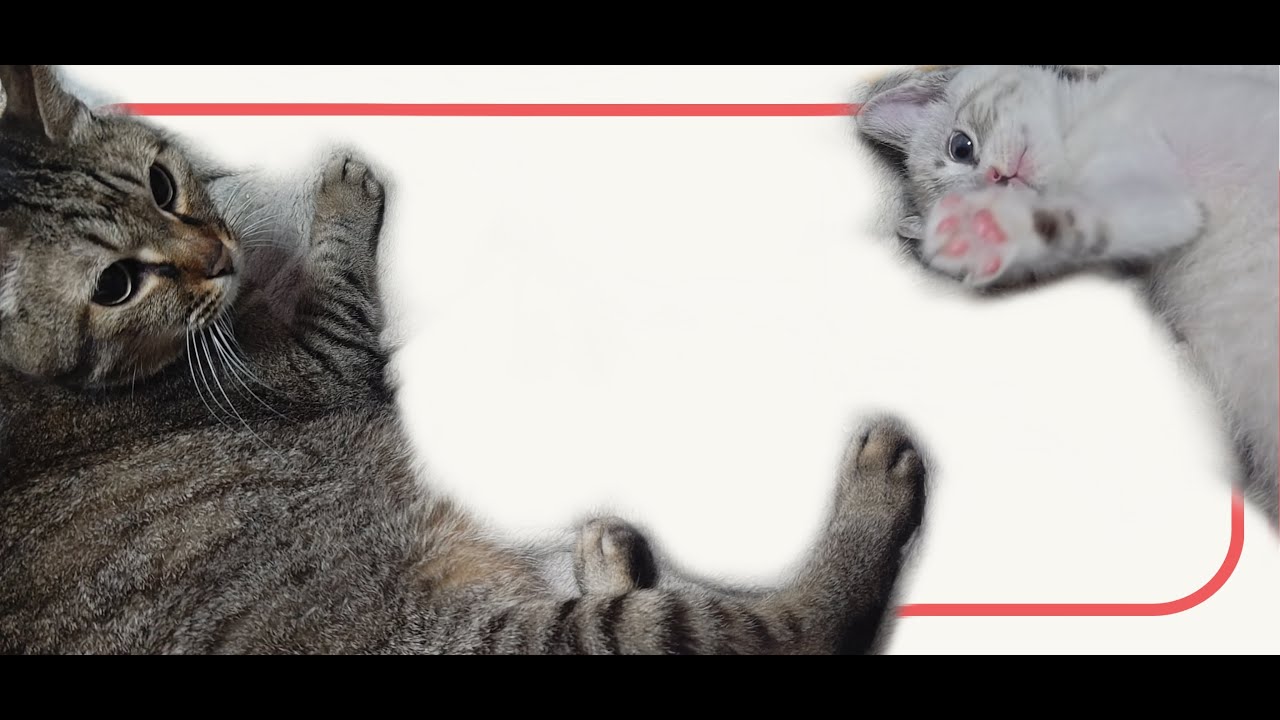 ロボカスタム３タイトル時系列順配信 9  J phoenix 〜２