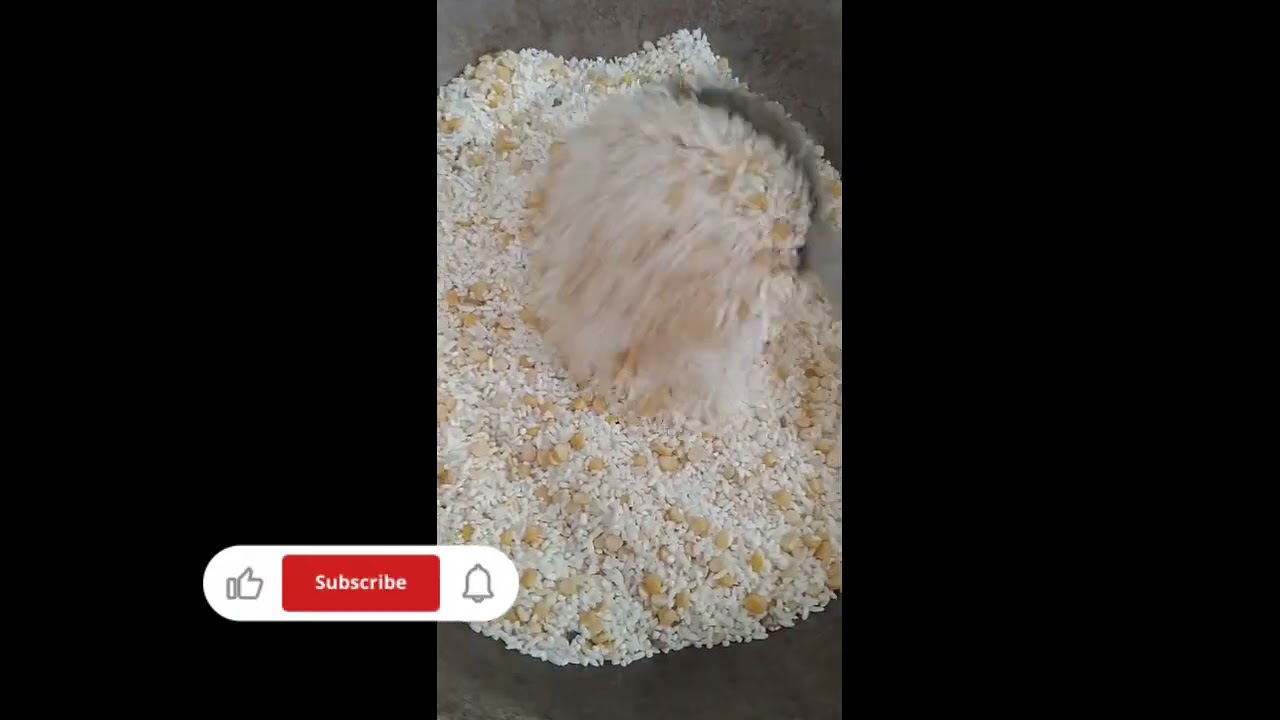Idly and dhokla pre mix 