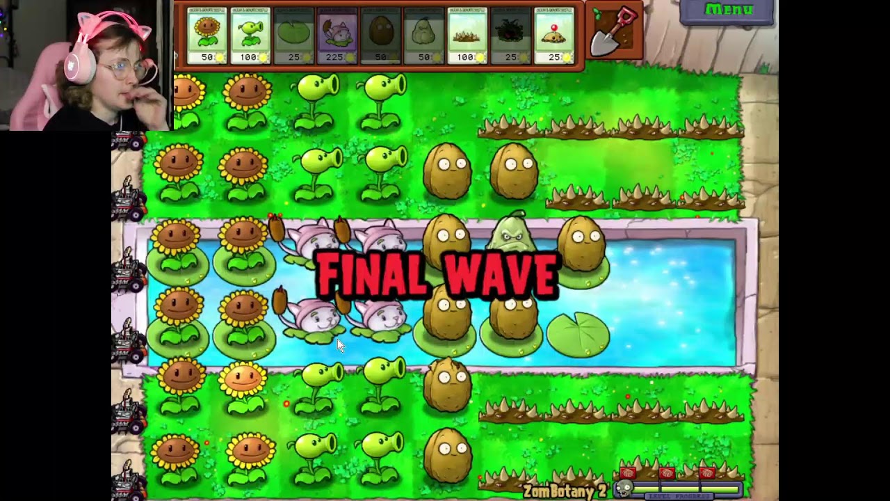 Pj's and PVZ