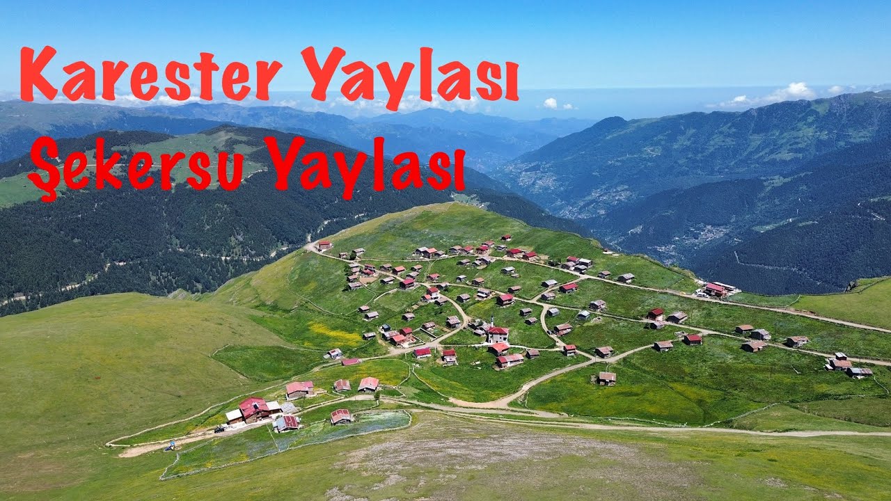 Uzungöl, Karester Yaylası, Şekersu Yaylası/TRABZON  20.06.2025