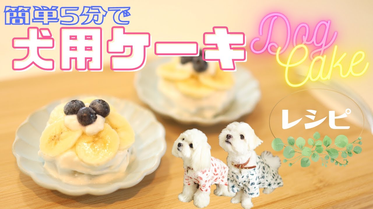 わんこが喜ぶ【手作り犬用ケーキ】超簡単５分で完成！焼かないケーキ