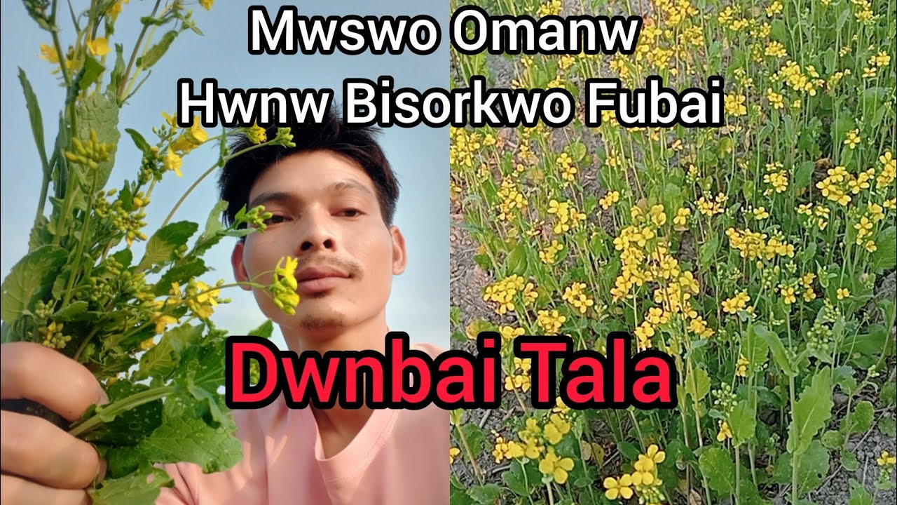 Oma Mwswonw Hwnw Bisorkwo Fubai Ep. 81