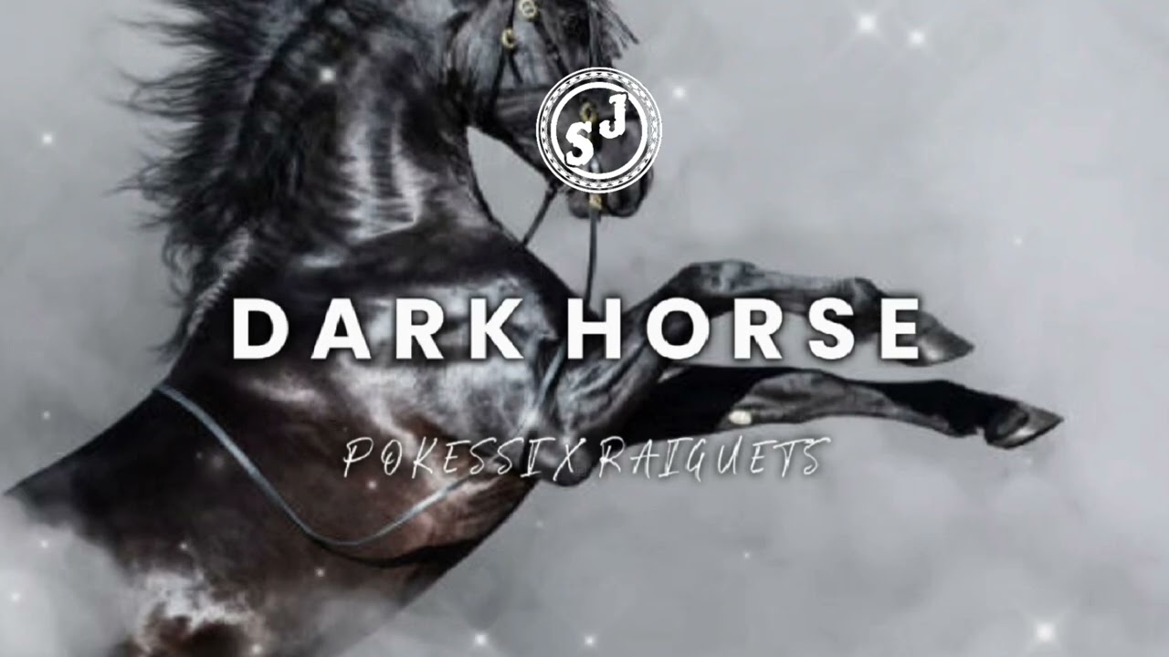 DARK HORSE - POKESSI X RAIGUETS 