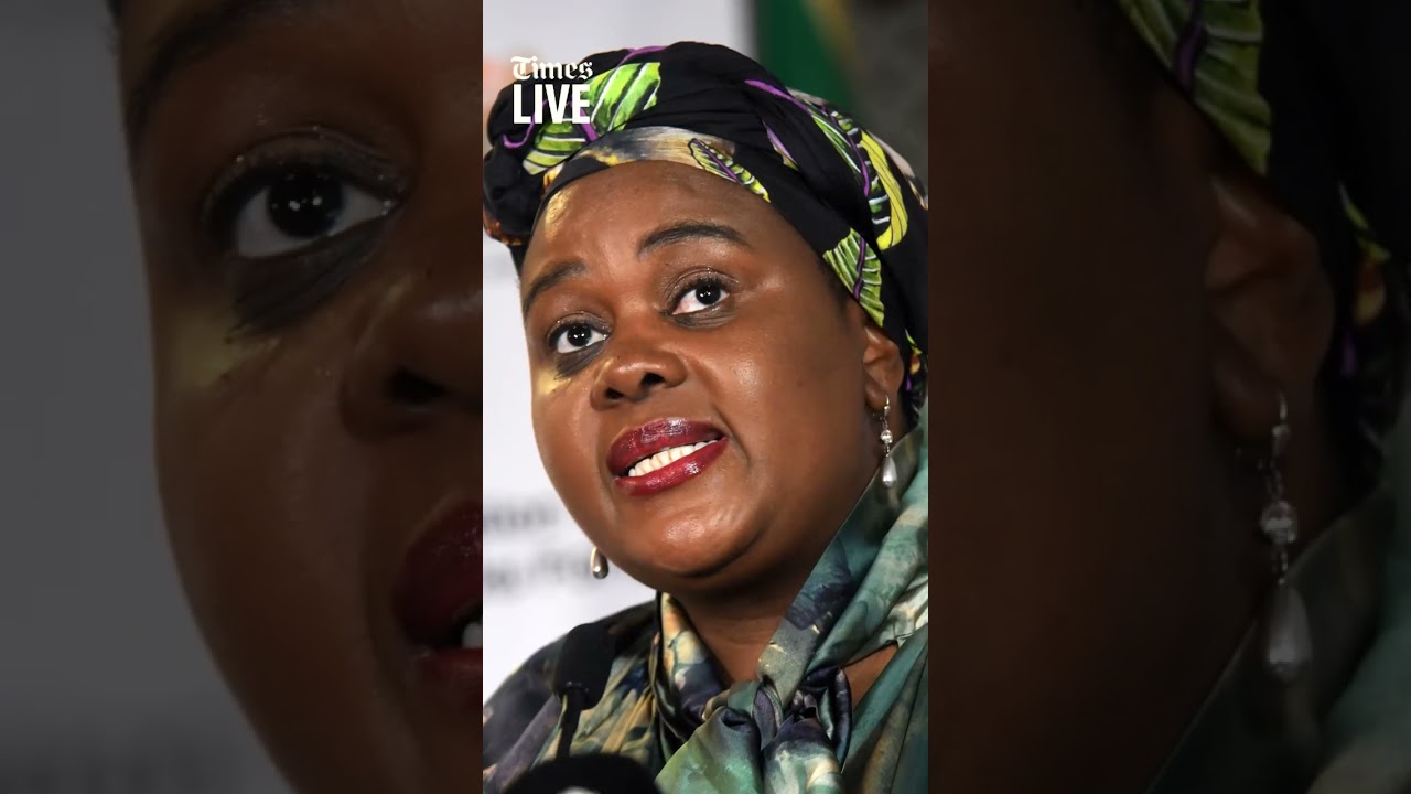 Kubayi raises questions over foreign influence in SA protests