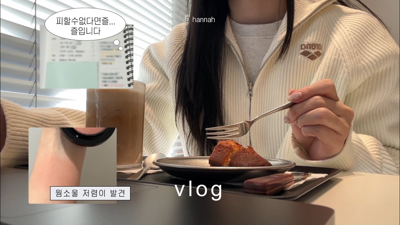 vlog. 이력서 회피중인 취준생 일상 제출합니다ㅣAdsp 자격증 공부