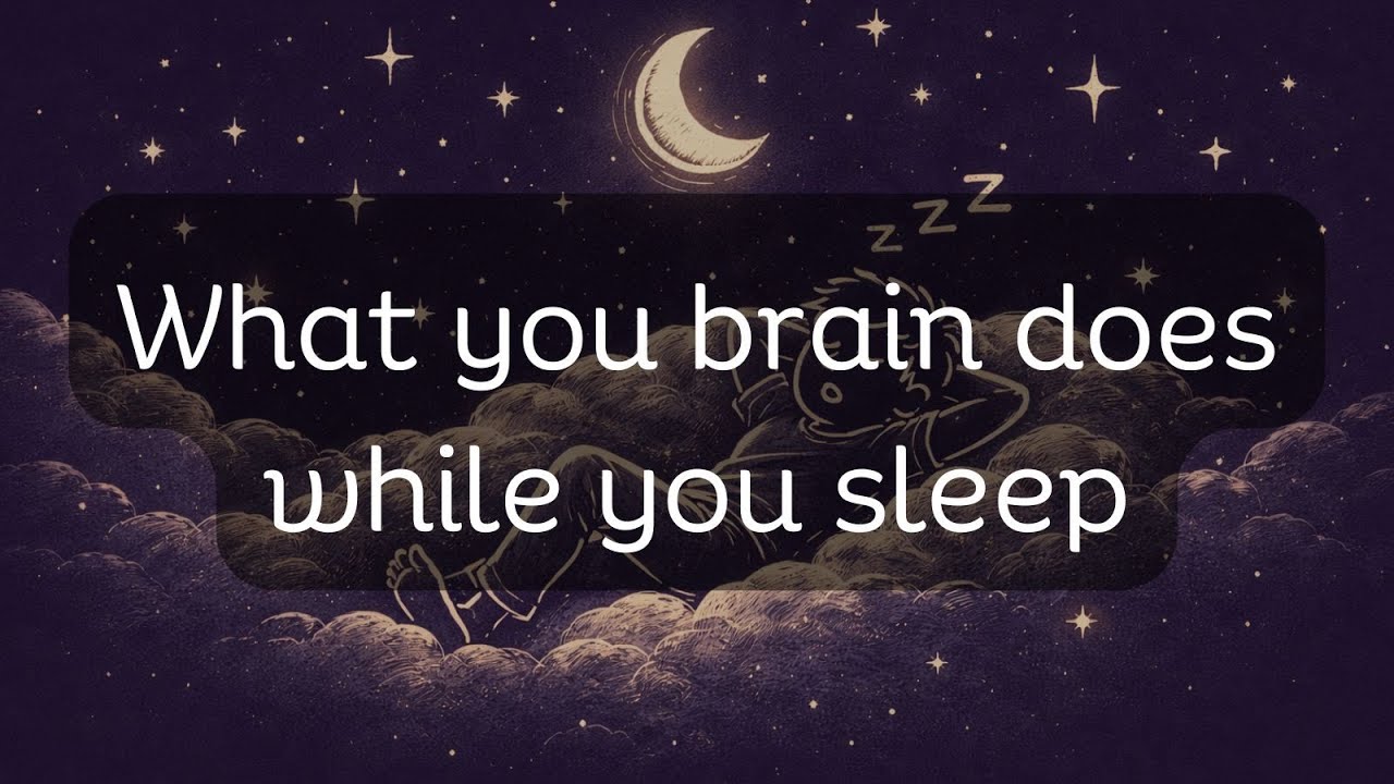 What Your Brain Does While You Sleep | Either you fall asleep or you learn soemthing new #2