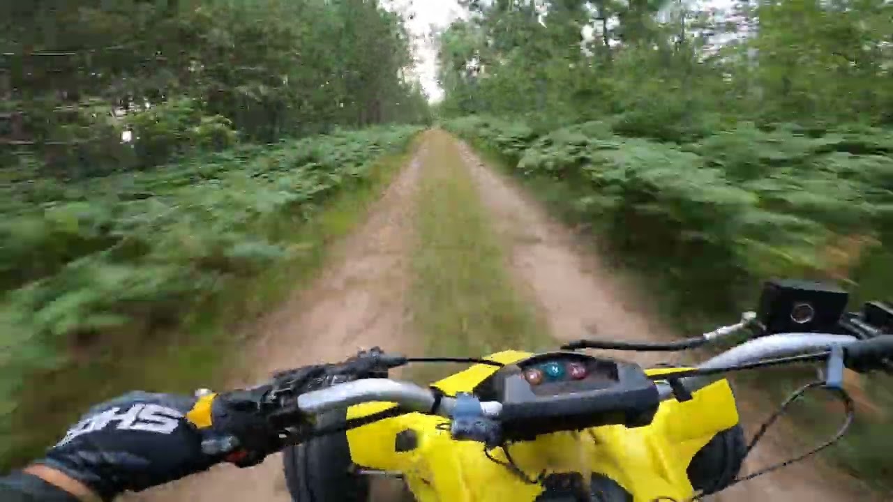 Quick ride on quad LTR 450