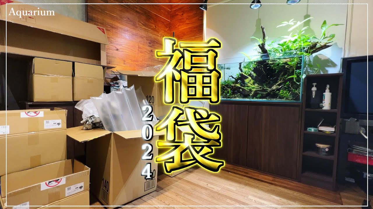 3万円分買ってみた【アクアリウム】