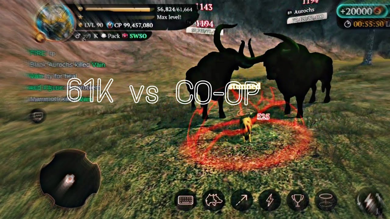 The Wolf || 61K Champ wolf vs Co-op