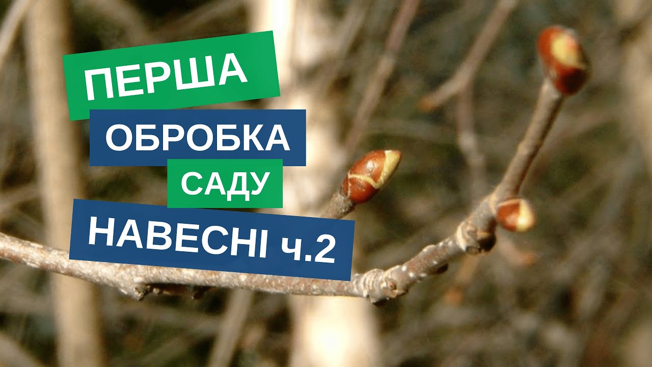 Перша обробка саду навесні! Що додати до мідних препаратів?