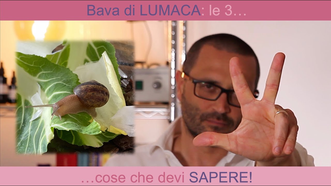 Bava di lumaca: le 3 cose che devi sapere!