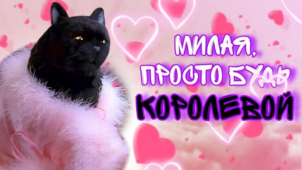 Тайна СЕЛЕМА: Как кот из 
