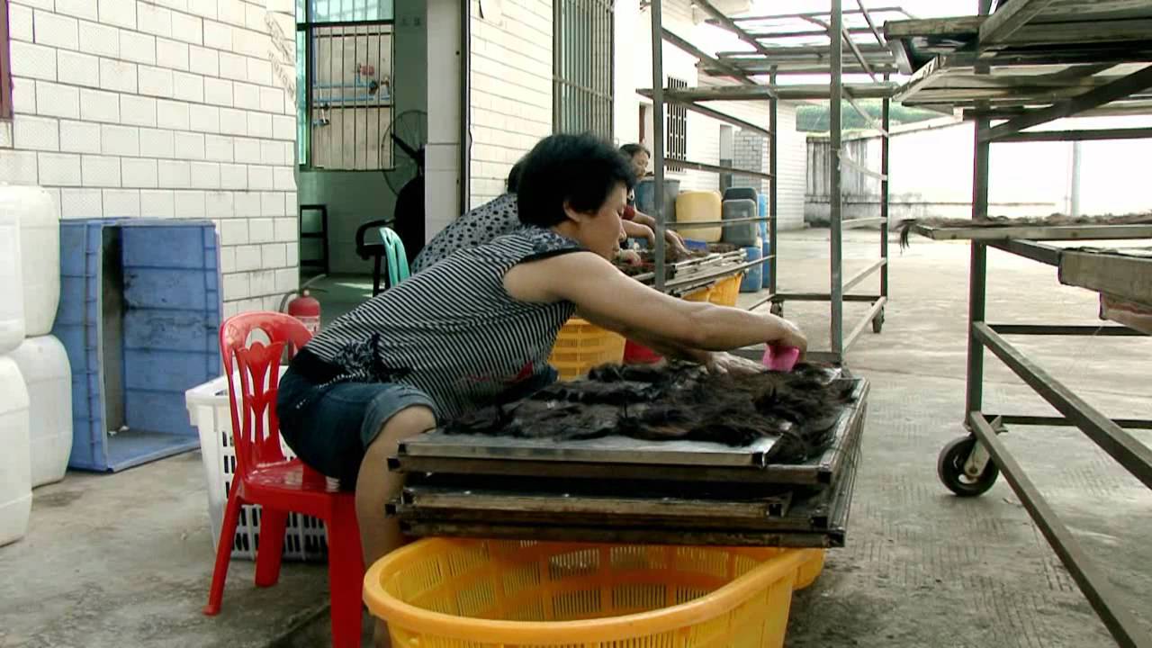 LIMAGE Imagefilm alt