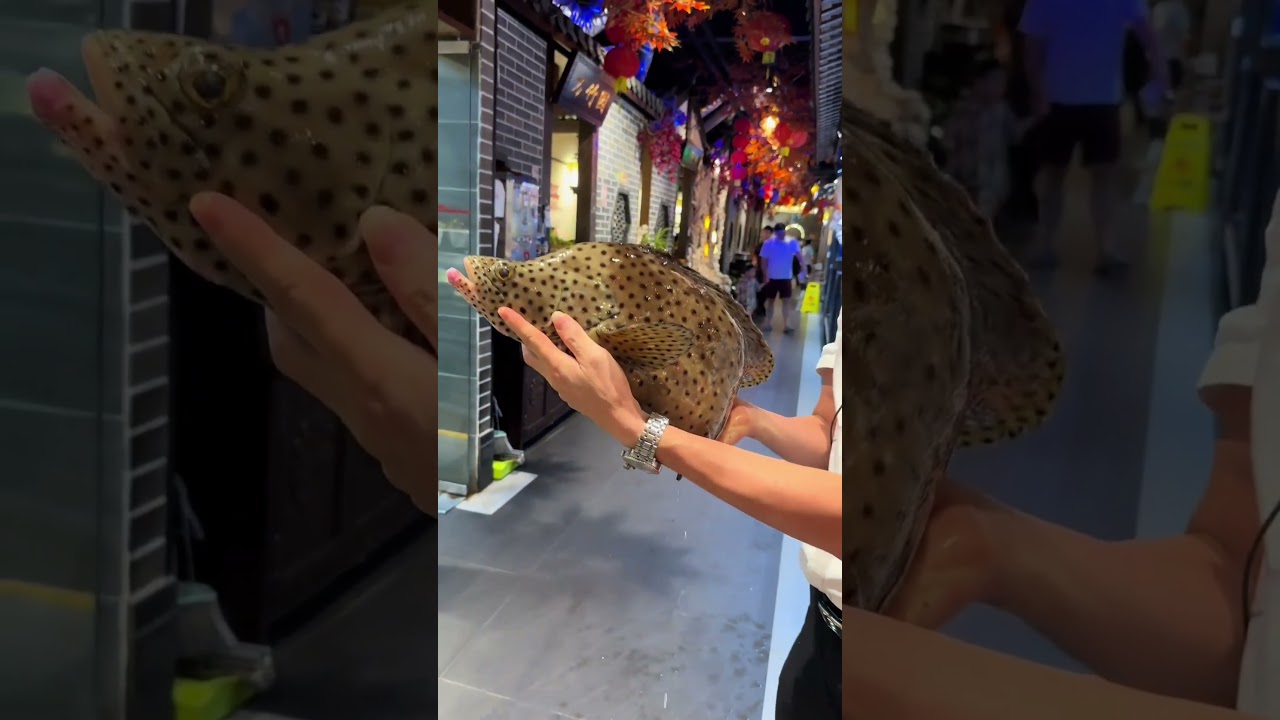 Spotted Mouse Grouper 🐟 | Rare and Beautiful Ocean Fish | Unseen Sea Beauty 🌊