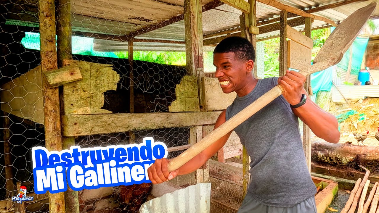 ¡DESTRUYENDO mi gallinero! 😱🐔 Mira lo que vamos a hacer ahora…