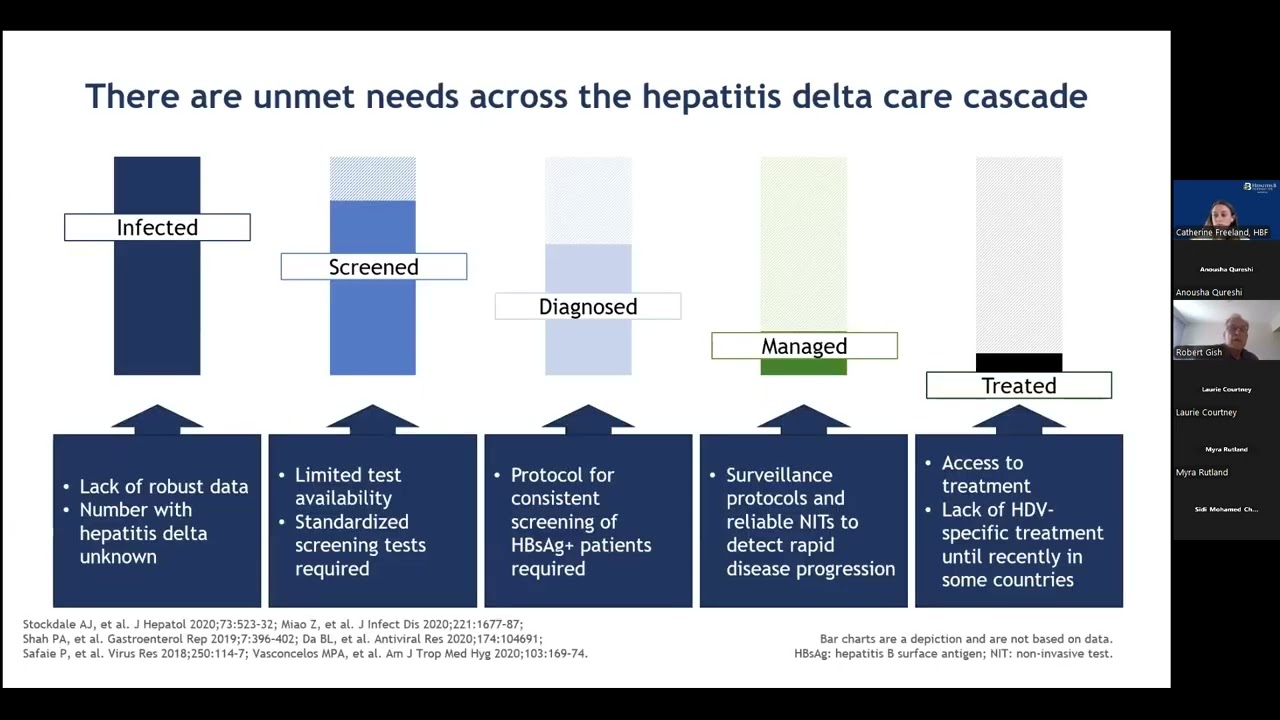 ECHO 2024 Session 34: Hepatitis Delta Epidemiology and Clinical Guidelines