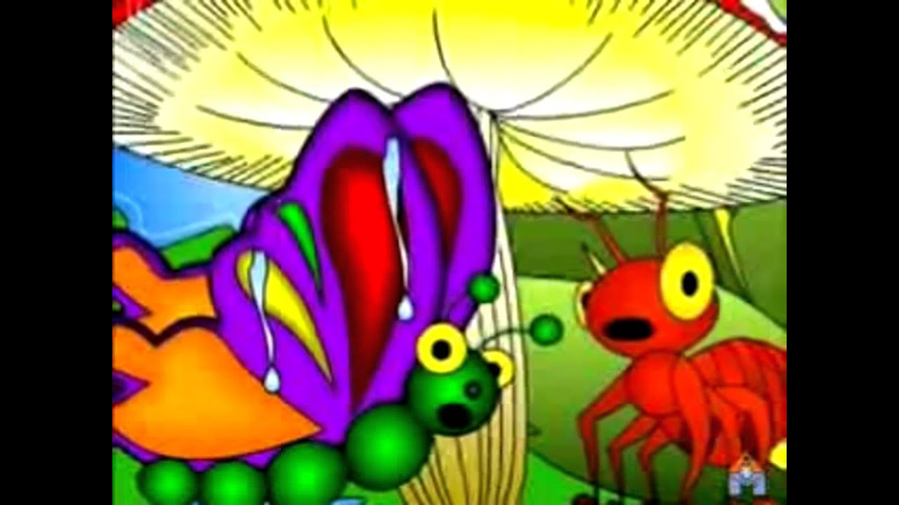 Educar la solidaridad en niños