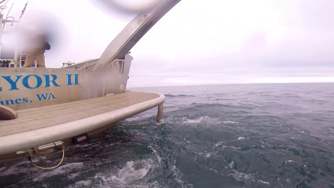 Sidescan Sonar Towfish Launch and Recovery