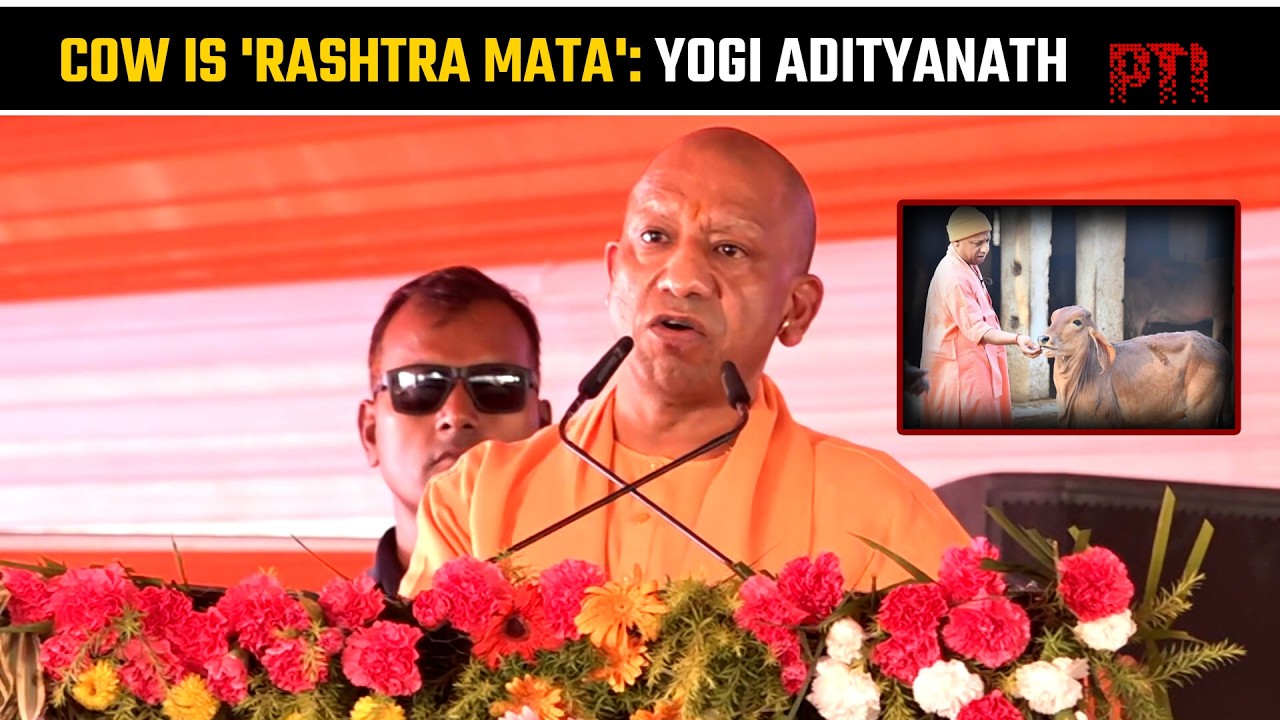 Cow is our 'Rashtra Mata', not an animal: Uttar Pradesh CM Yogi Adityanath slams Muslim clerics