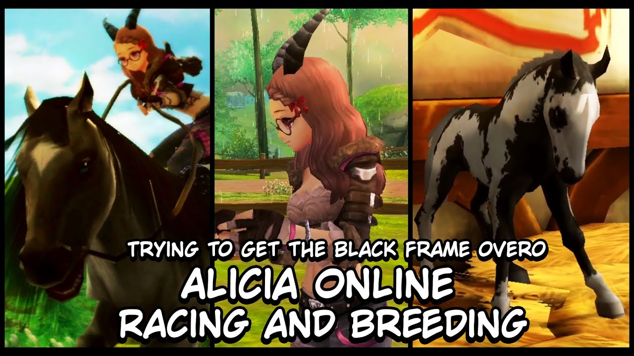 [Alicia online] Breeding and Racing! Trying to get the new coat! Black Frame Overo!