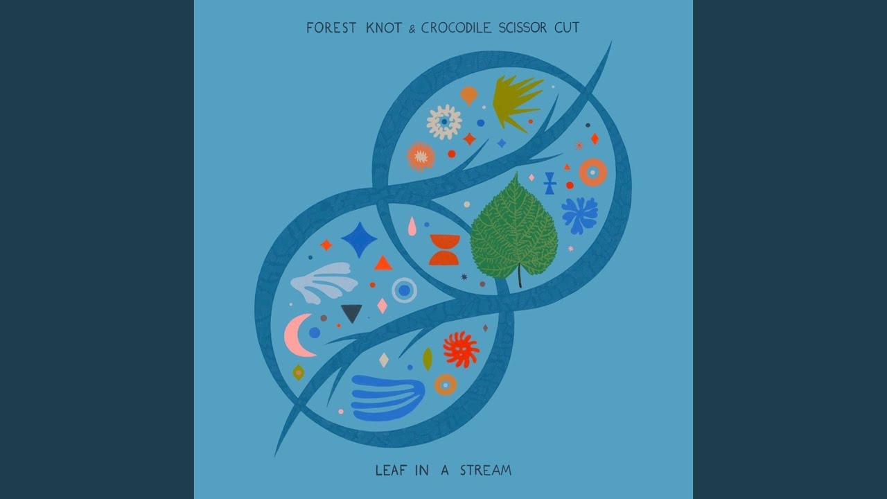 Leaf in a Stream