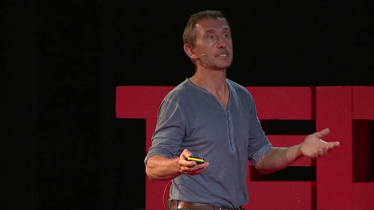 Why we all need to learn to love insects | Dave Goulson | TEDxBratislava