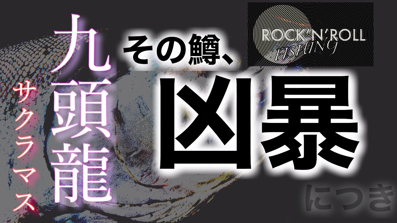 【九頭竜川 サクラマス】2023年　シーズン　サクラマス全身全霊ファイト！！